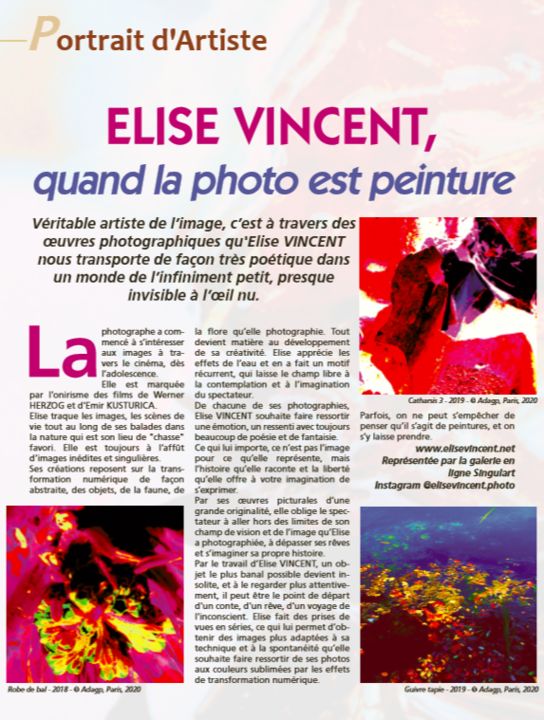 article-maison-jardin-quand-la-photo-est-peinture.png